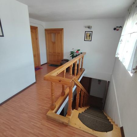 Camere De Inchiriat Edelweiss Dumbrava Roşie Buitenkant foto