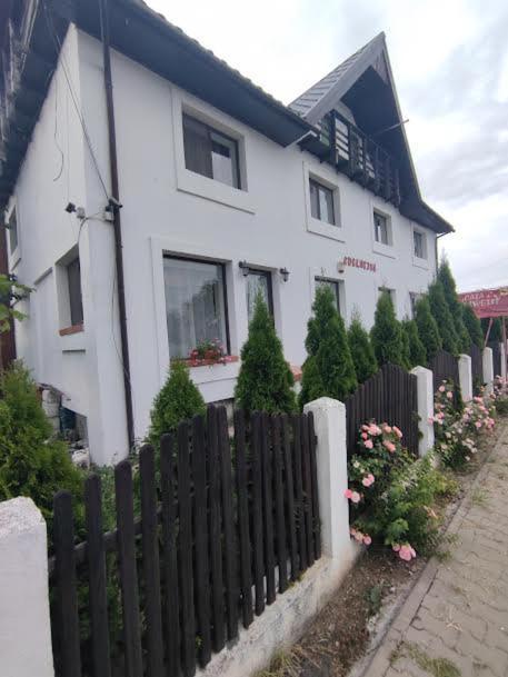 Camere De Inchiriat Edelweiss Dumbrava Roşie Buitenkant foto